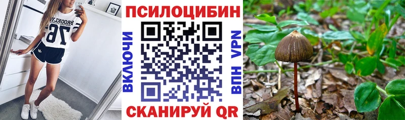 наркотики Полярные Зори Галлюциногенные грибы прущие грибы